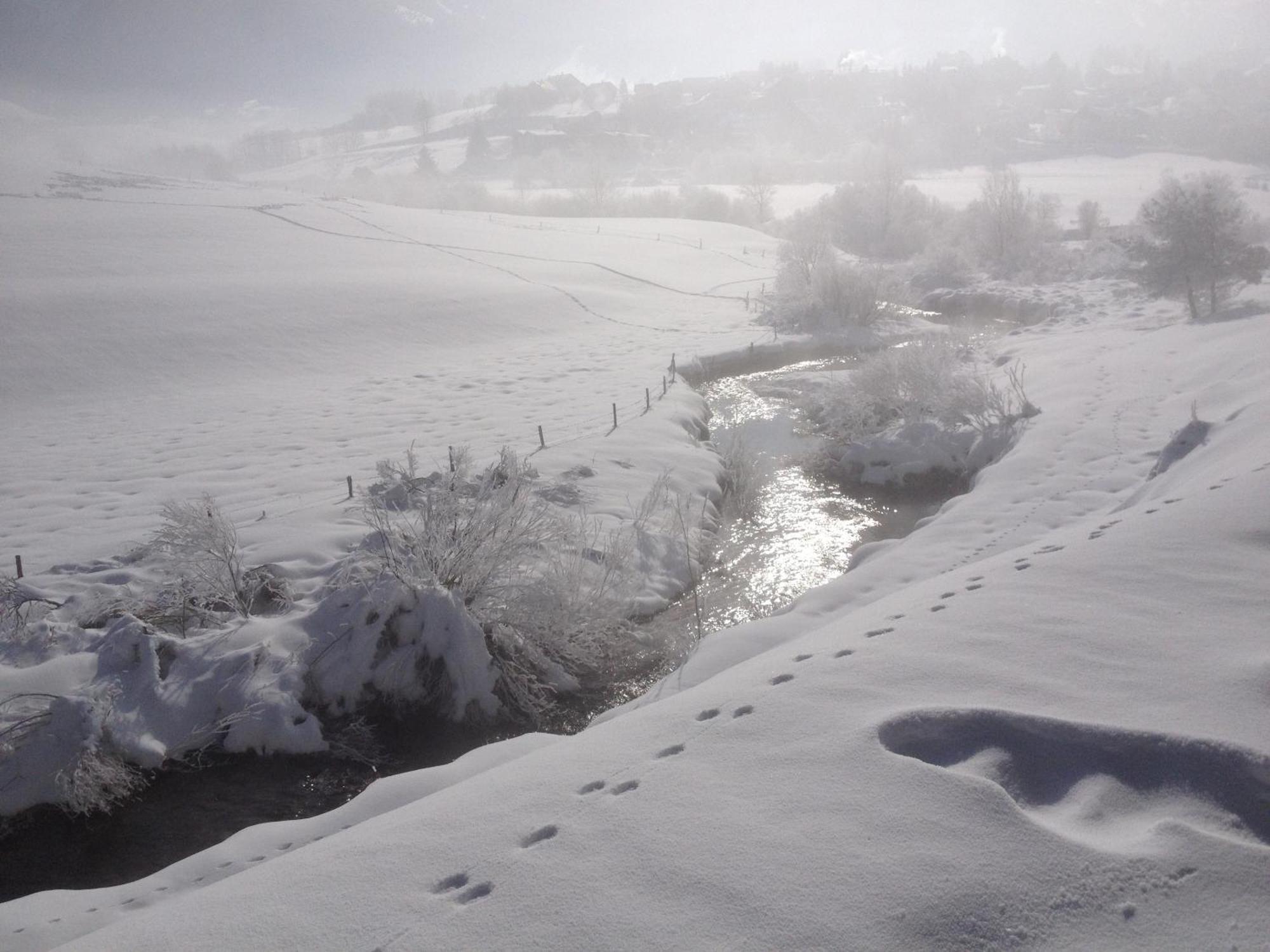 Ferme De La Grande Moucherolle Villard-de-Lans Exteriör bild