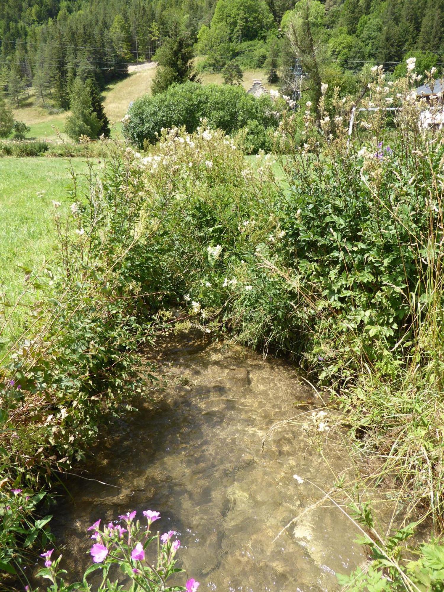 Ferme De La Grande Moucherolle Villard-de-Lans Rum bild