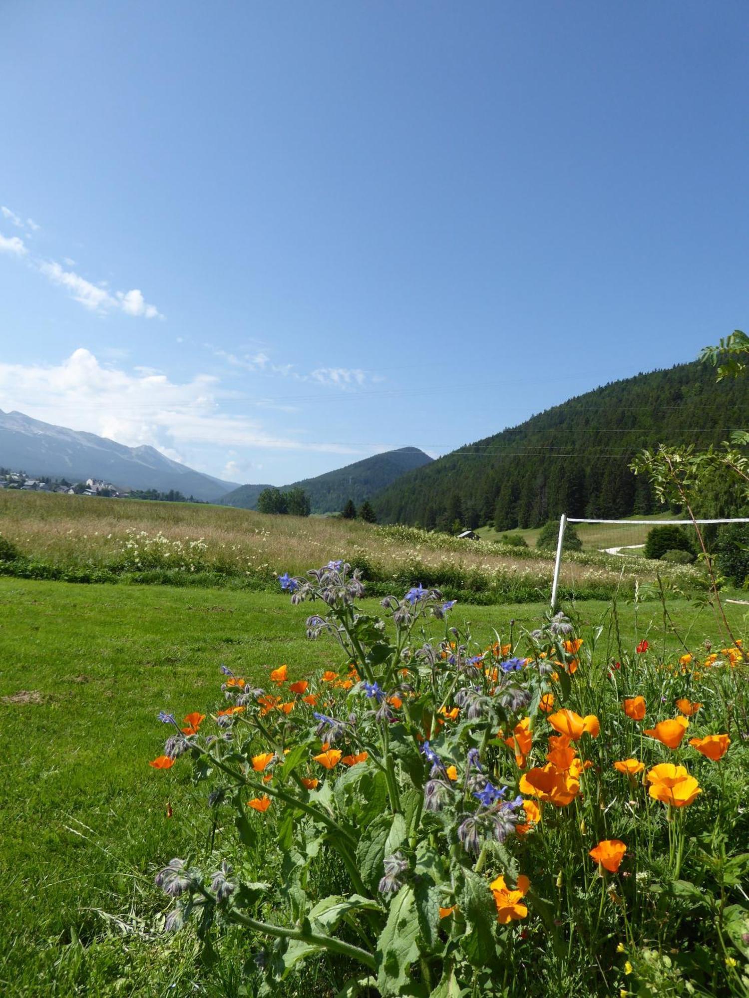 Ferme De La Grande Moucherolle Villard-de-Lans Exteriör bild